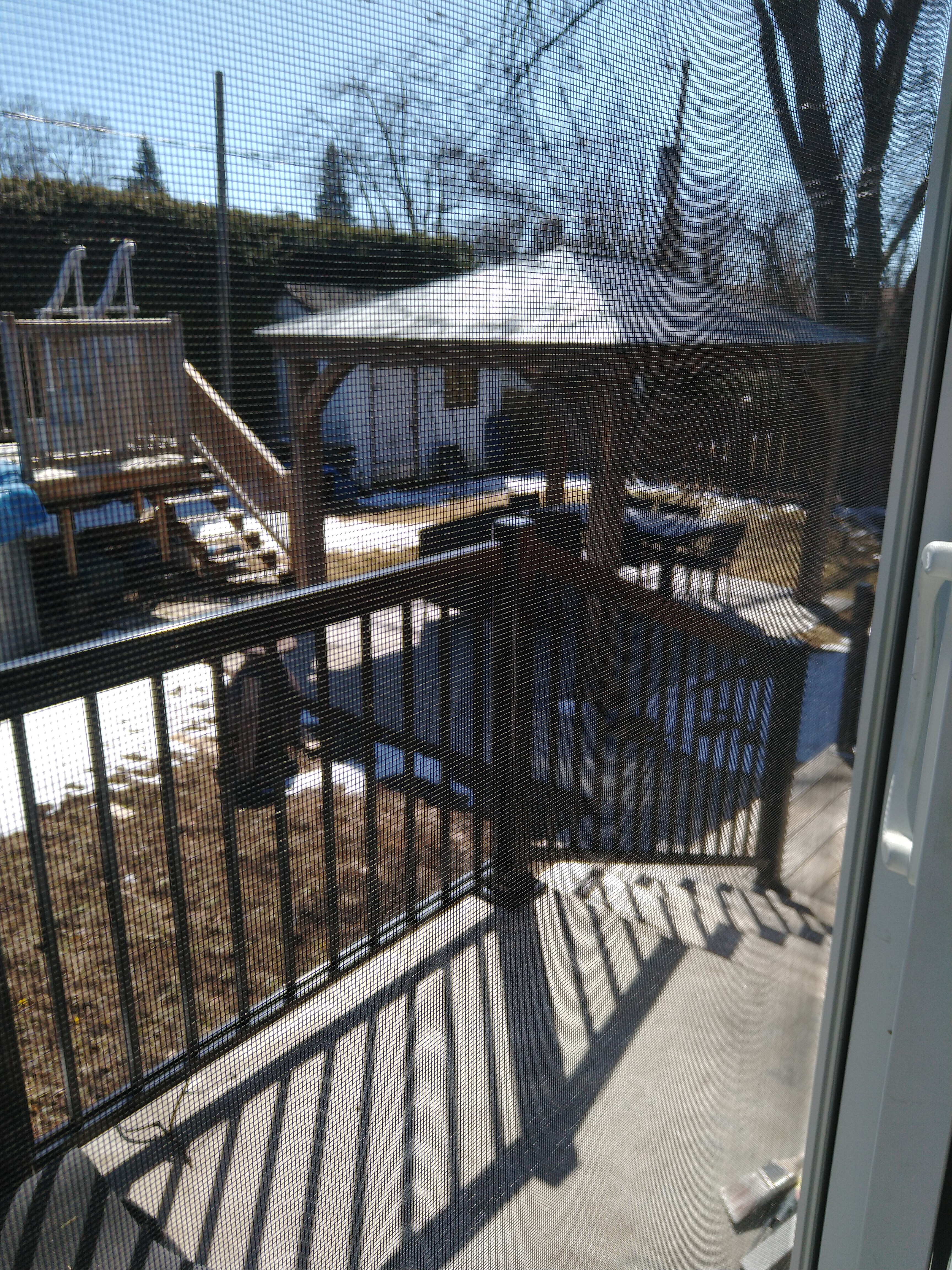 Figure 2: another angle of the backyard